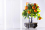 COMPOGLASS CRYSTAL trapezoidal S-20, transparent, glossy, 0,8 mm, 1150x2000 mm